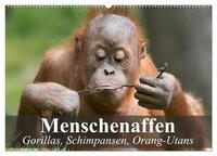 Menschenaffen. Gorillas, Schimpansen, Orang-Utans (Wandkalender 2026 DIN A2 quer), CALVENDO Monatskalender