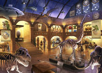 Kinderpuzzle 368 Teile - EXIT Puzzle Kids Im Naturkundemuseum