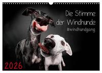 Die Stimme der Windhunde (Wandkalender 2026 DIN A3 quer), CALVENDO Monatskalender
