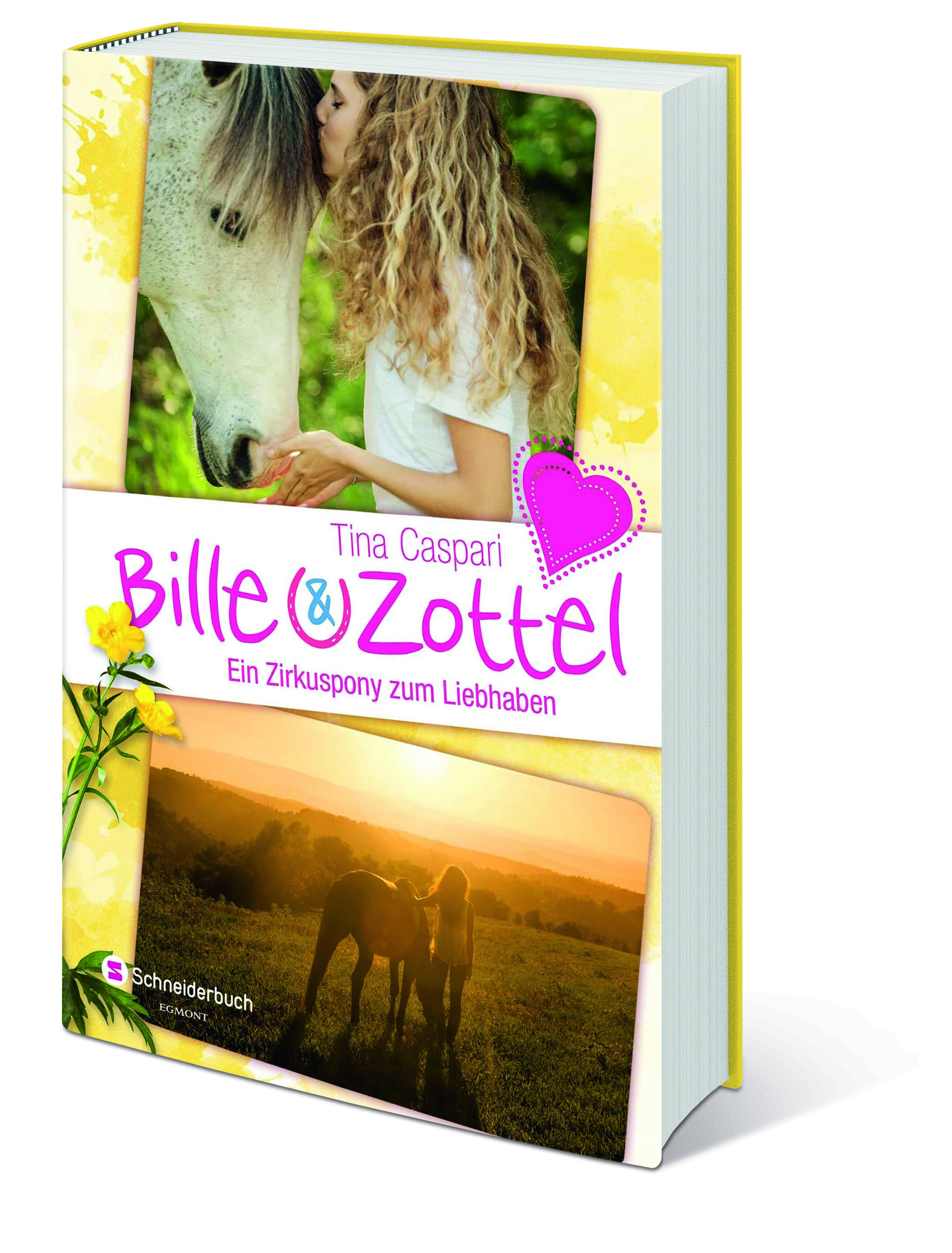 Bille und Zottel - Ein Zirkuspony zum Liebhaben