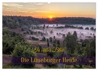Die Lüneburger Heide - In voller Blüte (Wandkalender 2025 DIN A2 quer), CALVENDO Monatskalender