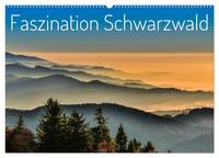 Faszination Schwarzwald (Wandkalender 2025 DIN A2 quer), CALVENDO Monatskalender