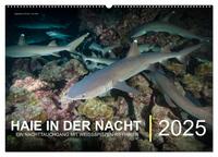 Haie in der Nacht (Wandkalender 2025 DIN A2 quer), CALVENDO Monatskalender
