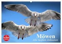 Möwen. Alle heißen Johnatan (Wandkalender 2025 DIN A2 quer), CALVENDO Monatskalender