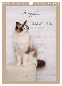 Ragdolls zum Verlieben (Wandkalender 2025 DIN A4 hoch), CALVENDO Monatskalender
