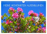 Vorderes Coverbild Meine schönsten Alpenblumen (Wandkalender 2026 DIN A4 quer), CALVENDO Monatskalender