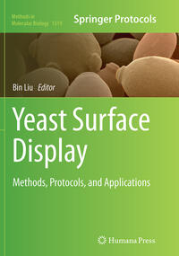 Yeast Surface Display