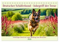 Deutscher Schäferhund - Inbegriff der Treue (Tischkalender 2026 DIN A5 quer), CALVENDO Monatskalender