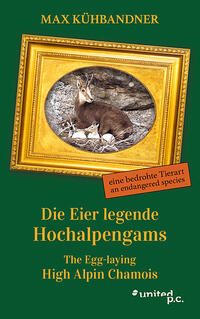 Die Eier legende Hochalpengams