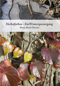 Herbstfarben·Ein Winterspaziergang