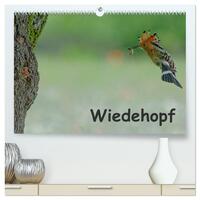 Wiedehopf (hochwertiger Premium Wandkalender 2025 DIN A2 quer), Kunstdruck in Hochglanz