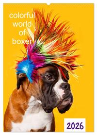 colorful world of boxer 2026 (Wandkalender 2026 DIN A2 hoch), CALVENDO Monatskalender