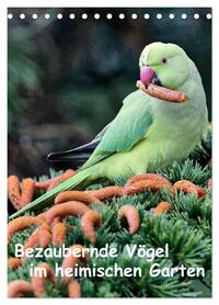 Vorderes Coverbild Bezaubernde Vögel im heimischen Garten (Tischkalender 2026 DIN A5 hoch), CALVENDO Monatskalender