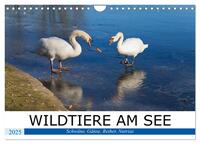 WILDTIERE AM SEE (Wandkalender 2025 DIN A4 quer), CALVENDO Monatskalender