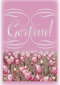 Vorderes Coverbild Gertrud - Dr. Gertrud Wasserzug - Traeder - Niederländisch