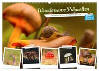 Wundersame Pilzwelten (Wandkalender 2025 DIN A2 quer), CALVENDO Monatskalender