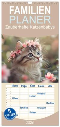 Familienplaner 2026 - Zauberhafte Katzenbabys mit 5 Spalten (Wandkalender, 21 x 45 cm) CALVENDO