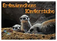 Erdmännchens Kinderstube (Wandkalender 2025 DIN A3 quer), CALVENDO Monatskalender