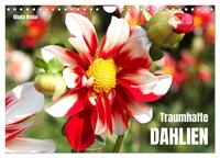 Traumhafte Dahlien (Wandkalender 2026 DIN A4 quer), CALVENDO Monatskalender