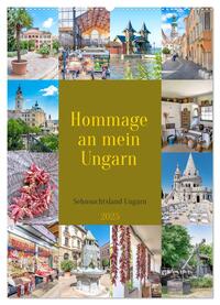 Hommage an mein Ungarn (Wandkalender 2025 DIN A2 hoch), CALVENDO Monatskalender