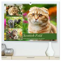 Scottish Fold. Zauberhafte Faltohrkatzen im Garten (hochwertiger Premium Wandkalender 2026 DIN A2 quer), Kunstdruck in Hochglanz
