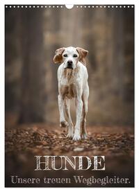 Hunde - Unsere treuen Wegbegleiter. (Wandkalender 2025 DIN A3 hoch), CALVENDO Monatskalender