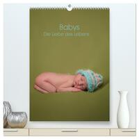 Babys - Die Liebe des Lebens (hochwertiger Premium Wandkalender 2026 DIN A2 hoch), Kunstdruck in Hochglanz