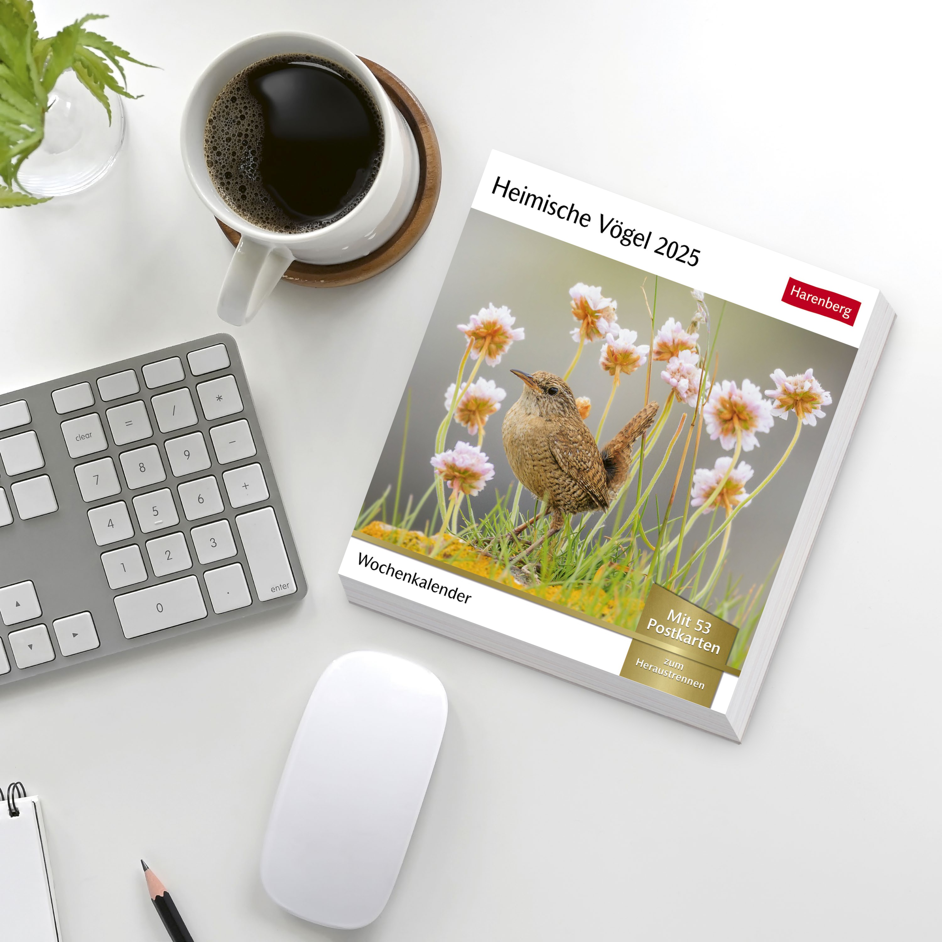 Heimische Vögel Postkartenkalender 2025 - Wochenkalender mit 53 Postkarten