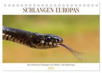 Schlangen Europas (Tischkalender 2025 DIN A5 quer), CALVENDO Monatskalender