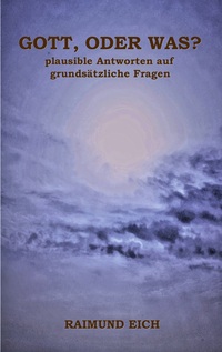 Vorderes Coverbild Gott, oder was?