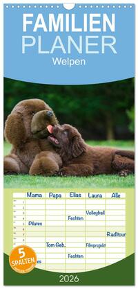 Familienplaner 2026 - Welpen 2026 mit 5 Spalten (Wandkalender, 21 x 45 cm) CALVENDO