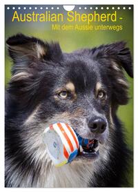Australian Shepherd – Mit dem Aussie unterwegs (Wandkalender 2026 DIN A4 hoch), CALVENDO Monatskalender