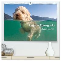 Lagotto Romagnolo - Wasserspiele (hochwertiger Premium Wandkalender 2026 DIN A2 quer), Kunstdruck in Hochglanz