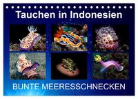 Tauchen in Indonesien - BUNTE MEERESSCHNECKEN (Tischkalender 2026 DIN A5 quer), CALVENDO Monatskalender
