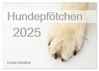 Hundepfötchen (Wandkalender 2025 DIN A2 quer), CALVENDO Monatskalender