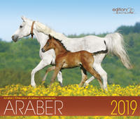 Araber 2019