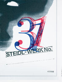 Vorderes Coverbild STEIDL–WERK No.31: GHOSTS IN THE MACHINE