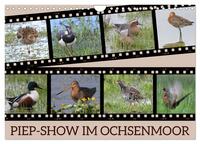 PIEP-SHOW im Ochsenmoor (Wandkalender 2026 DIN A4 quer), CALVENDO Monatskalender