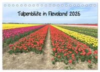 Tulpenblüte in Flevoland 2026 (Tischkalender 2026 DIN A5 quer), CALVENDO Monatskalender