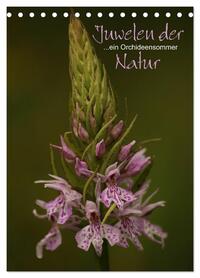 Juwelen der Natur - Ein Orchideensommer (Tischkalender 2026 DIN A5 hoch), CALVENDO Monatskalender