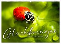 Glücksbringer - Dem Glück auf der Spur. (Wandkalender 2026 DIN A2 quer), CALVENDO Monatskalender