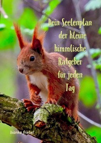 Dein Seelenplan - der kleine himmlische Ratgeber für jeden Tag