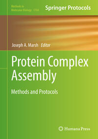 Protein Complex Assembly