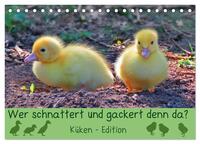 Wer schnattert und gackert denn da? - Küken-Edition (Tischkalender 2025 DIN A5 quer), CALVENDO Monatskalender