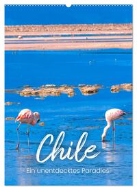 Chile - Ein unentdecktes Paradies. (Wandkalender 2025 DIN A2 hoch), CALVENDO Monatskalender