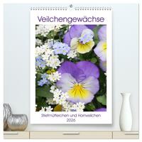 Veilchengewächse Stiefmütterchen und Hornveilchen (hochwertiger Premium Wandkalender 2026 DIN A2 hoch), Kunstdruck in Hochglanz