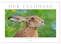 Der Feldhase (Wandkalender 2026 DIN A3 quer), CALVENDO Monatskalender