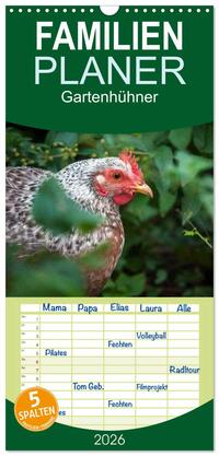 Familienplaner 2026 - Gartenhühner mit 5 Spalten (Wandkalender, 21 x 45 cm) CALVENDO