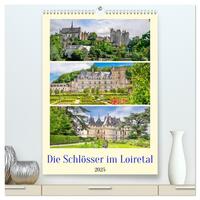 Die Schlösser im Loiretal (hochwertiger Premium Wandkalender 2025 DIN A2 hoch), Kunstdruck in Hochglanz