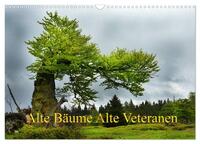 Alte Bäume Alte Veteranen (Wandkalender 2026 DIN A3 quer), CALVENDO Monatskalender